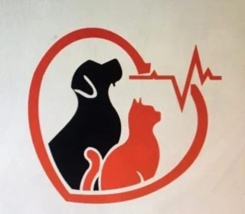 Modren Care Vet. Clinic